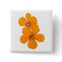 flower8 buttons by GeoKip flower8 buttons