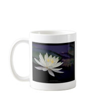 Flower 039 White Water Lily Coffee Mug