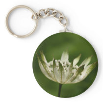 Flower  10 key chains
