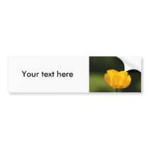 Flower  11 bumper sticker