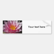 Flower  1 bumper stickers