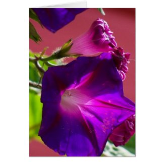 Flower 1 card