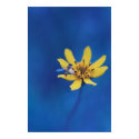 Flower #1 posters