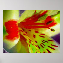 Flower 219 poster