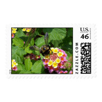 Flower 2845 Stamp