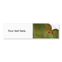Flower 2 bumper stickers by Flowerpixels Flower 2 bumper stickers