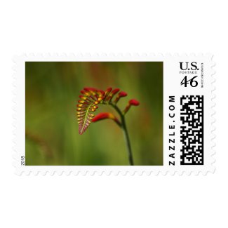 Flower 2 stamp