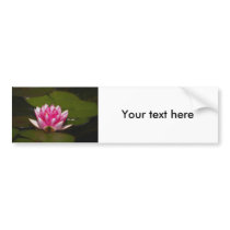 Flower  4 bumper stickers