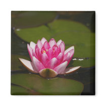 Flower 4 magnets by Flowerpixels Flower 4 magnets