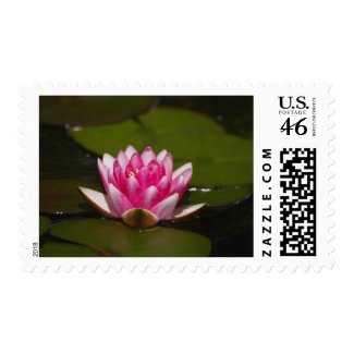 Flower 4 stamp