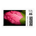Flower 4 postage by liqdslvr Flower 4 postage