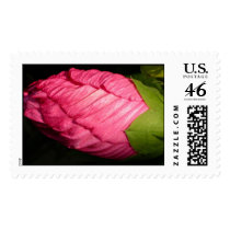Flower 4 postage by liqdslvr Flower 4 postage