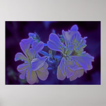 Flower #4 poster