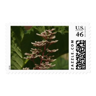 Flower 8 stamp