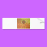 Flower Abstract bumper stickers