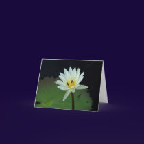 Flower-and-Bees