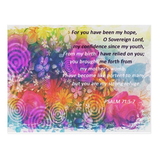 Flower and Bible verse "Rose and dazy" Postcard Zazzle