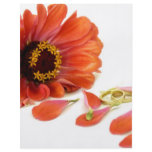 flower and rings flyers