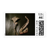 Flower and Saxophone Stamp