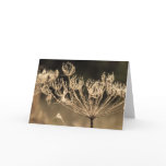 Flower and spiders web in sepia greeting cards