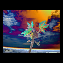 flower and the sky posters