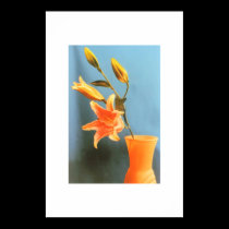 Flower and vase posters