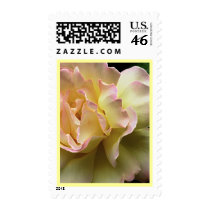 Flower Art Glorious Rose postage by LorrieM Flower Art Glorious Rose postage