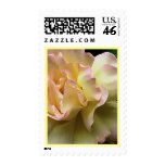 Flower Art Glorious Rose Postage postage