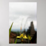 Flower at Mother Temple Print
