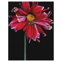 Flower - Bad hair day Full Color Flyer