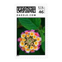 Flower Ball stamps