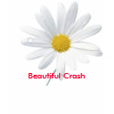 flower, Beautiful Crash t-shirts