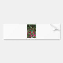 flower bed bumper stickers