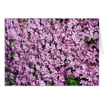 Flower bed card