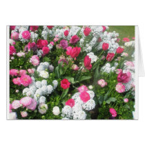 Flower Bed Greeting Cards