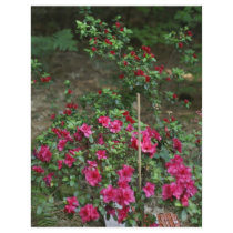 flower bed flyers by jram36 flower bed flyers