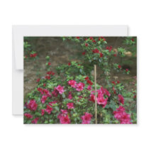 flower bed invitations by jram36 flower bed invitations