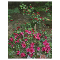 flower bed letterhead by jram36 flower bed letterhead