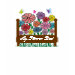 Ladies Petite T-Shirt