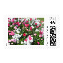Flower Bed Stamp