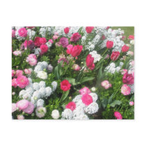 Flower Bed Post Card