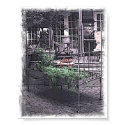 Flower Bed posters