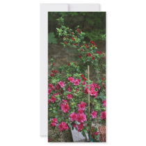 flower bed customized rack card