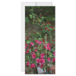 flower bed customized rack card