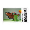 Flower Behind the Flower postage