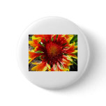 flower,blanket flower buttons