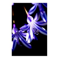 Flower Bloom Contrast posters
