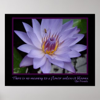 Flower Blooms Zen Proverb Purple Water Lily & Bee Print