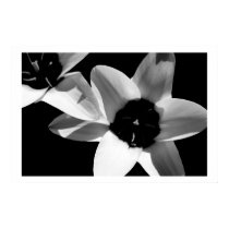 flower blw posters by melliagirl flower blw posters