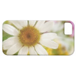 Flower Bouquet - White Daisy iPhone 5 Cover